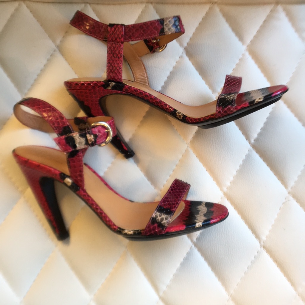 Sergio Rossi Python Heels